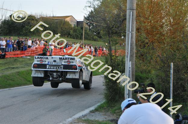 DSC_3575.JPG